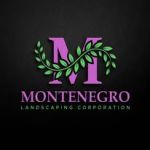@monte.landcorporation